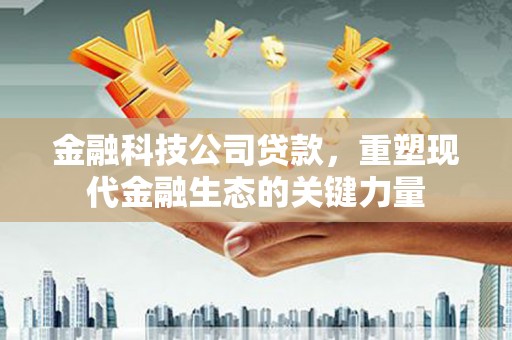 丰满金融科技公司贷款，重塑现代金融生态的关键力量