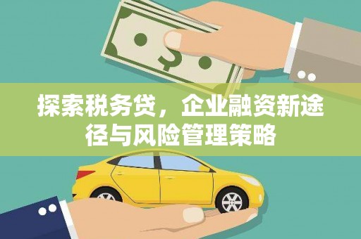 丰满探索税务贷，企业融资新途径与风险管理策略