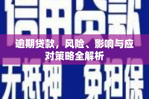 丰满逾期贷款，风险、影响与应对策略全解析