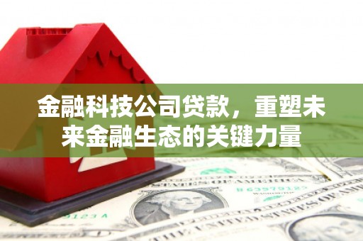 丰满金融科技公司贷款，重塑未来金融生态的关键力量