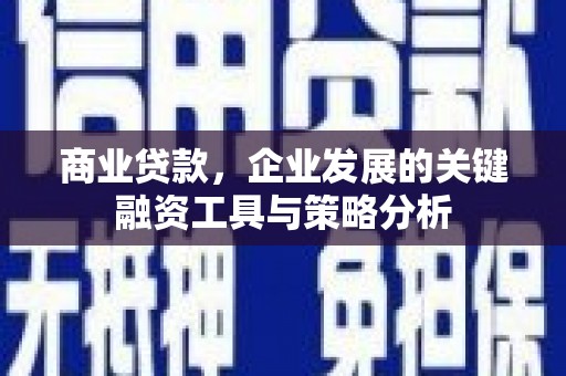 丰满商业贷款，企业发展的关键融资工具与策略分析
