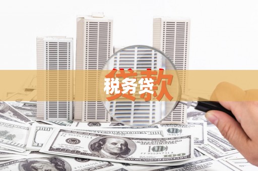 丰满税务贷