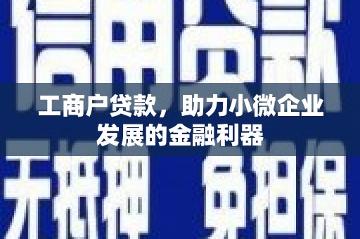 丰满工商户贷款，助力小微企业发展的金融利器