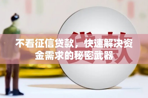 丰满不看征信贷款，快速解决资金需求的秘密武器
