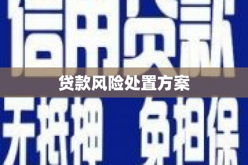 丰满贷款风险处置方案