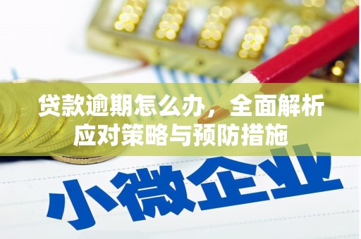 丰满贷款逾期怎么办，全面解析应对策略与预防措施