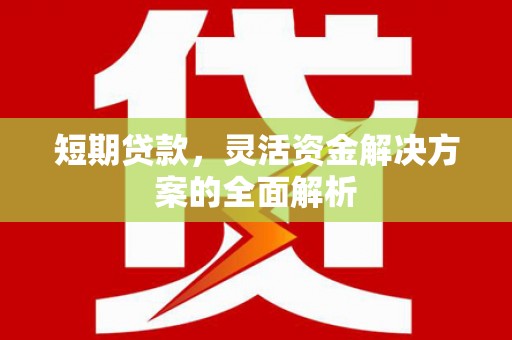 丰满短期贷款，灵活资金解决方案的全面解析