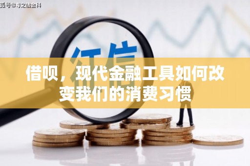 丰满借呗，现代金融工具如何改变我们的消费习惯