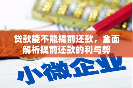 丰满贷款能不能提前还款，全面解析提前还款的利与弊