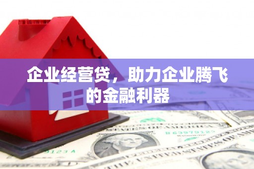 丰满企业经营贷，助力企业腾飞的金融利器