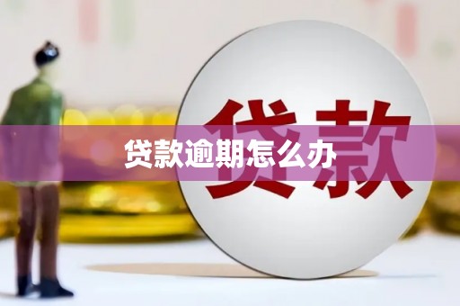 丰满贷款逾期怎么办