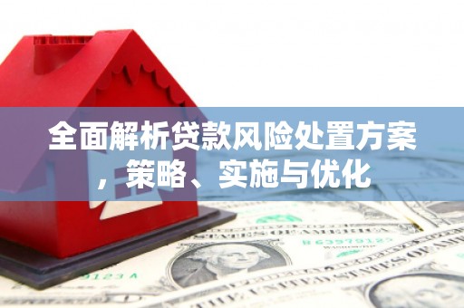丰满全面解析贷款风险处置方案，策略、实施与优化