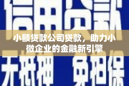 丰满小额贷款公司贷款，助力小微企业的金融新引擎