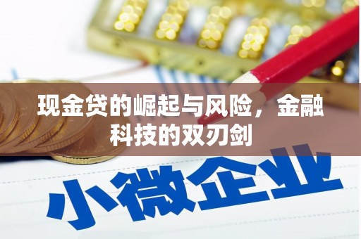 丰满现金贷的崛起与风险，金融科技的双刃剑