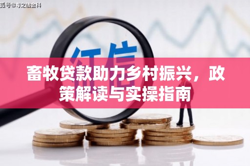 丰满畜牧贷款助力乡村振兴，政策解读与实操指南