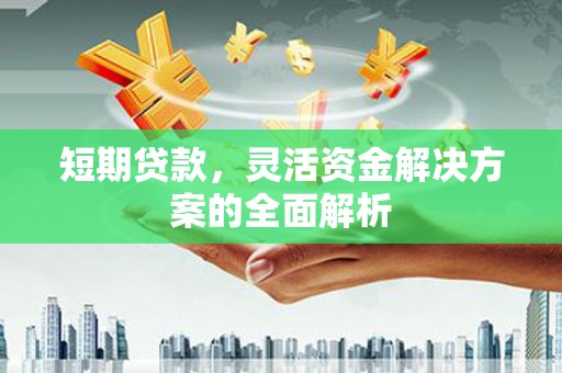 丰满短期贷款，灵活资金解决方案的全面解析