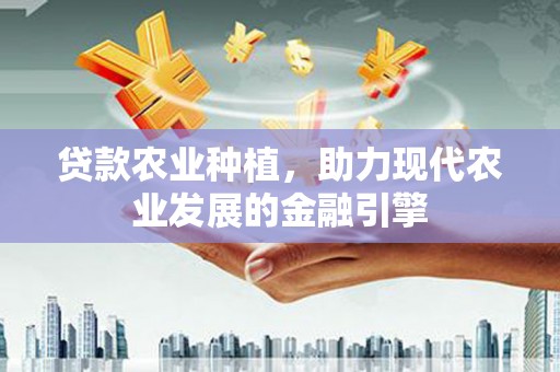 丰满贷款农业种植，助力现代农业发展的金融引擎