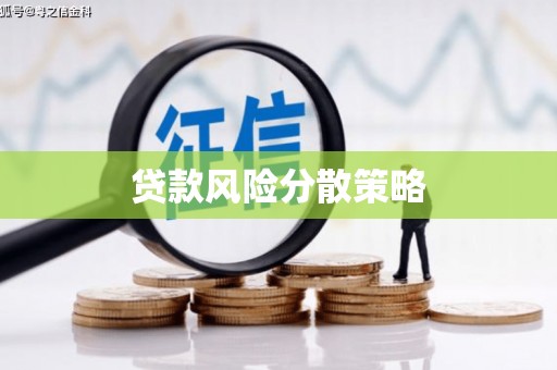 丰满贷款风险分散策略