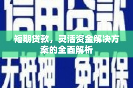 丰满短期贷款，灵活资金解决方案的全面解析