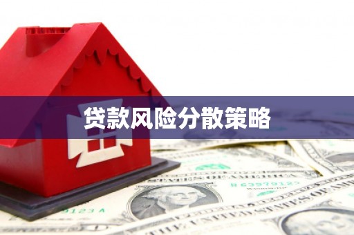 丰满贷款风险分散策略