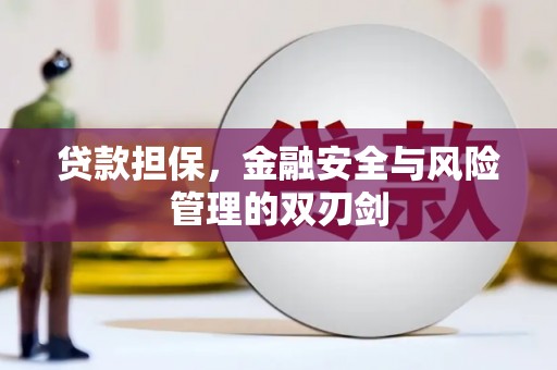 丰满贷款担保，金融安全与风险管理的双刃剑