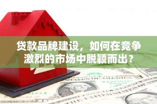 丰满贷款品牌建设，如何在竞争激烈的市场中脱颖而出？