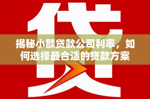 丰满揭秘小额贷款公司利率，如何选择最合适的贷款方案