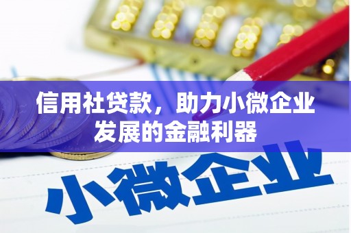 丰满信用社贷款，助力小微企业发展的金融利器