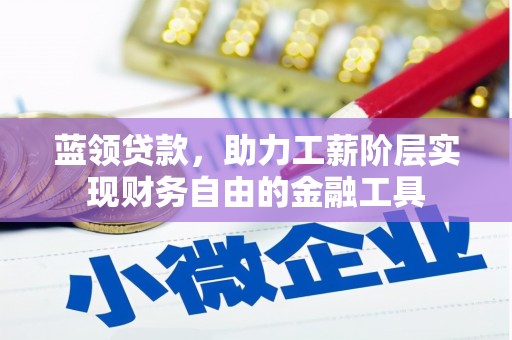 丰满蓝领贷款，助力工薪阶层实现财务自由的金融工具
