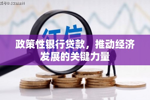 丰满政策性银行贷款，推动经济发展的关键力量