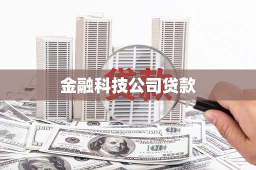 丰满金融科技公司贷款