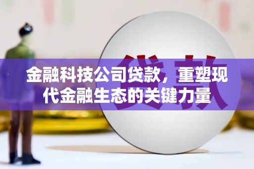 丰满金融科技公司贷款，重塑现代金融生态的关键力量
