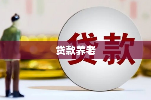 丰满贷款养老