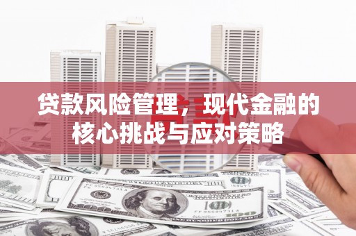 丰满贷款风险管理，现代金融的核心挑战与应对策略