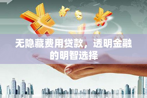 丰满无隐藏费用贷款，透明金融的明智选择