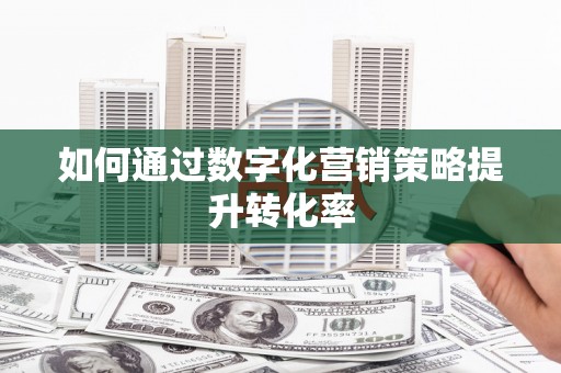 丰满如何通过数字化营销策略提升转化率