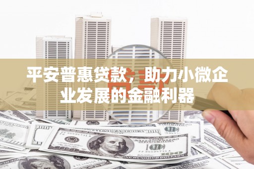 丰满平安普惠贷款，助力小微企业发展的金融利器