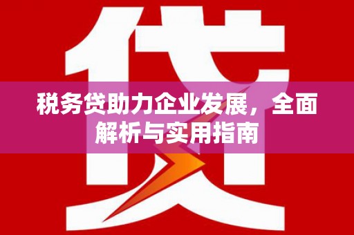 丰满税务贷助力企业发展，全面解析与实用指南