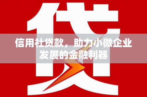 丰满信用社贷款，助力小微企业发展的金融利器