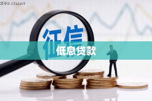 丰满低息贷款