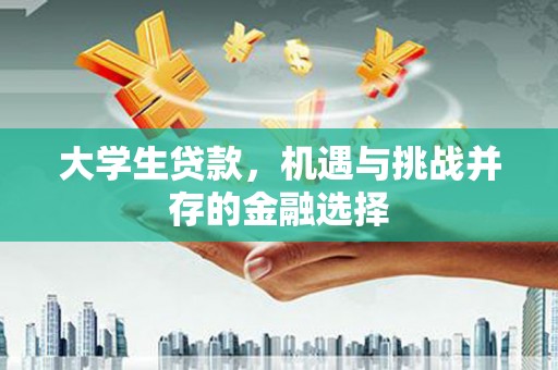 丰满大学生贷款，机遇与挑战并存的金融选择