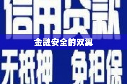 丰满金融安全的双翼
