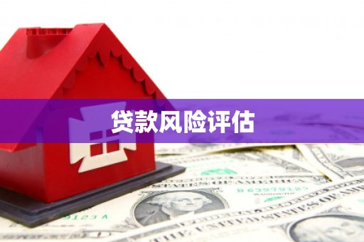 丰满贷款风险评估