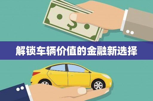 丰满解锁车辆价值的金融新选择