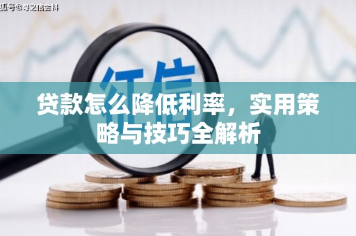 丰满贷款怎么降低利率，实用策略与技巧全解析