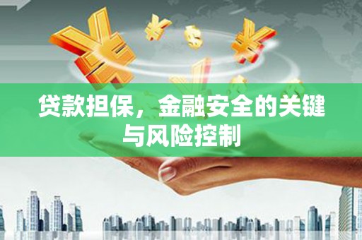 丰满贷款担保，金融安全的关键与风险控制