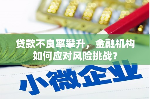 丰满贷款不良率攀升，金融机构如何应对风险挑战？