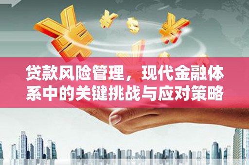 丰满贷款风险管理，现代金融体系中的关键挑战与应对策略