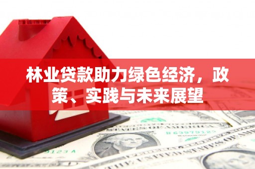 丰满林业贷款助力绿色经济，政策、实践与未来展望