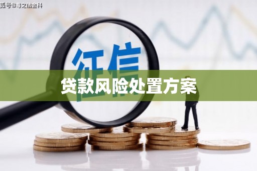 丰满贷款风险处置方案